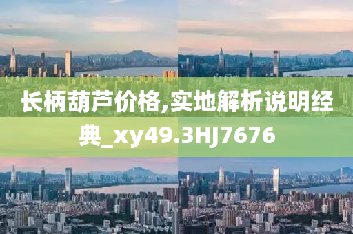 长柄葫芦价格,实地解析说明经典_xy49.3HJ7676