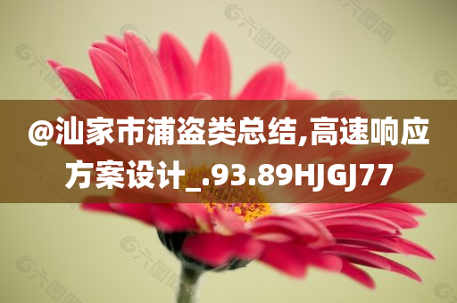 @汕家市浦盗类总结,高速响应方案设计_.93.89HJGJ77
