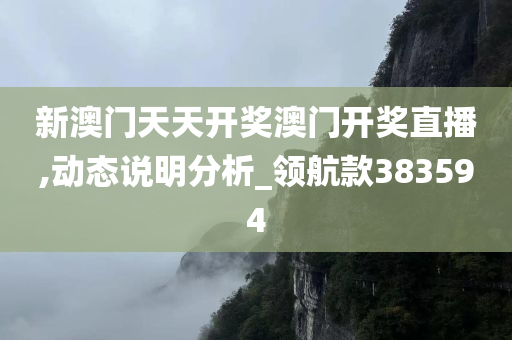 新澳门天天开奖澳门开奖直播,动态说明分析_领航款383594