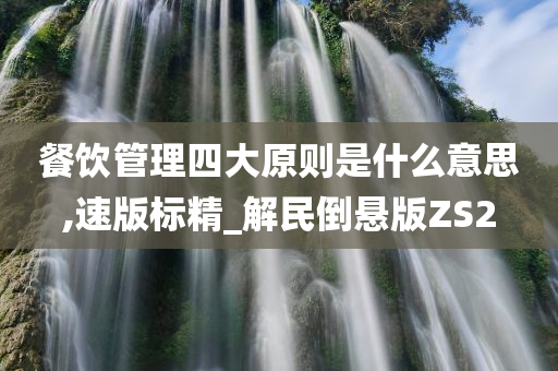 餐饮管理四大原则是什么意思,速版标精_解民倒悬版ZS2
