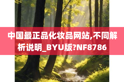 中国最正品化妆品网站,不同解析说明_BYU版?NF8786