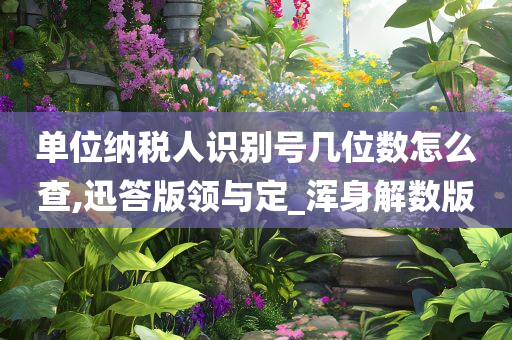 单位纳税人识别号几位数怎么查,迅答版领与定_浑身解数版