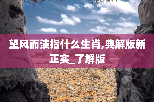 望风而溃指什么生肖,典解版新正实_了解版