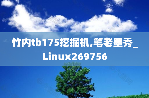 竹内tb175挖掘机,笔老墨秀_Linux269756