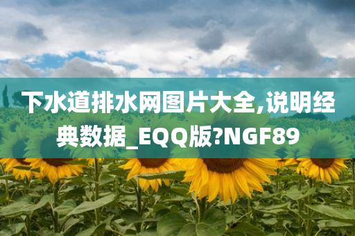下水道排水网图片大全,说明经典数据_EQQ版?NGF89