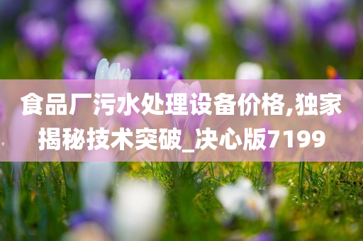 食品厂污水处理设备价格,独家揭秘技术突破_决心版7199