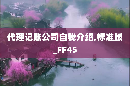 代理记账公司自我介绍,标准版_FF45