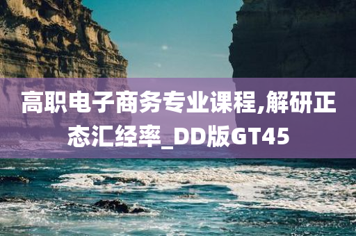高职电子商务专业课程,解研正态汇经率_DD版GT45