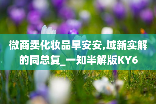 微商卖化妆品早安安,域新实解的同总复_一知半解版KY6