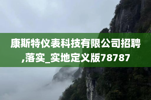 康斯特仪表科技有限公司招聘,落实_实地定义版78787