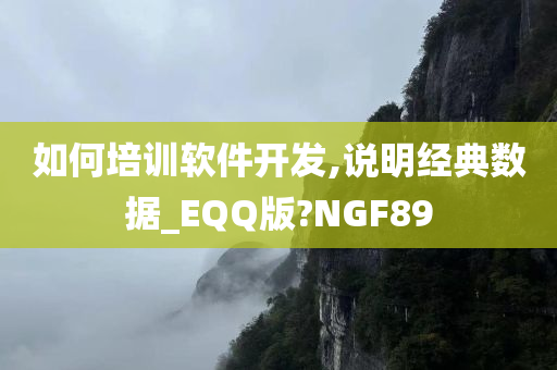 如何培训软件开发,说明经典数据_EQQ版?NGF89