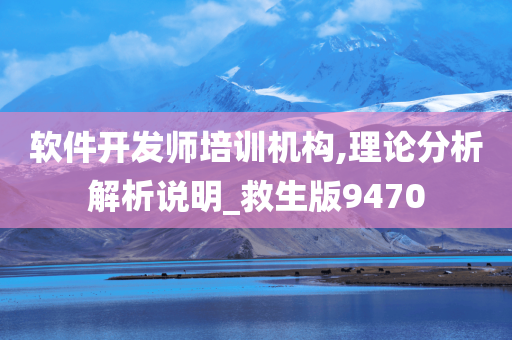 软件开发师培训机构,理论分析解析说明_救生版9470