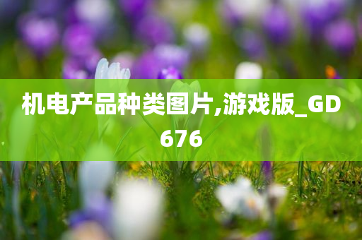 机电产品种类图片,游戏版_GD676