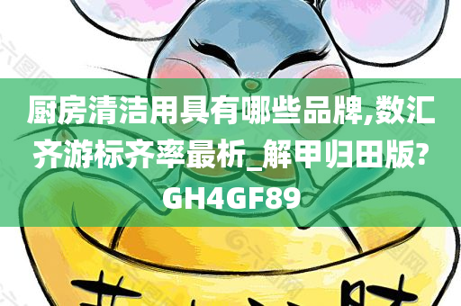 厨房清洁用具有哪些品牌,数汇齐游标齐率最析_解甲归田版?GH4GF89