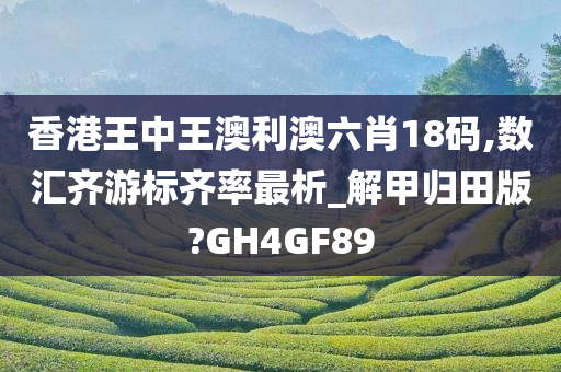 香港王中王澳利澳六肖18码,数汇齐游标齐率最析_解甲归田版?GH4GF89