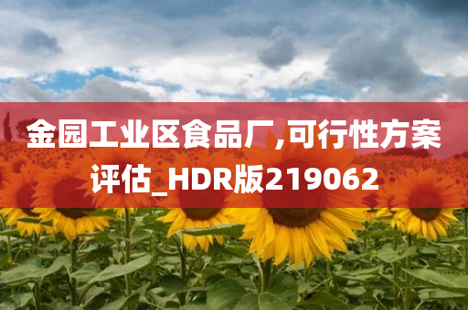 金园工业区食品厂,可行性方案评估_HDR版219062