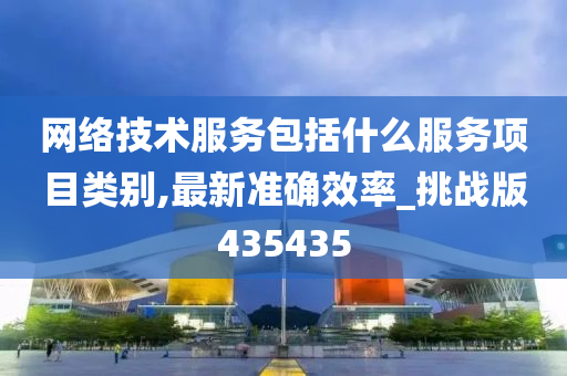 网络技术服务包括什么服务项目类别,最新准确效率_挑战版435435