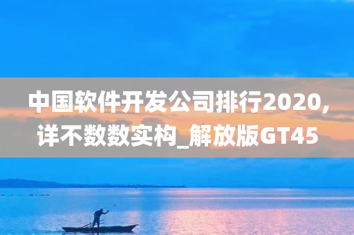 中国软件开发公司排行2020,详不数数实构_解放版GT45
