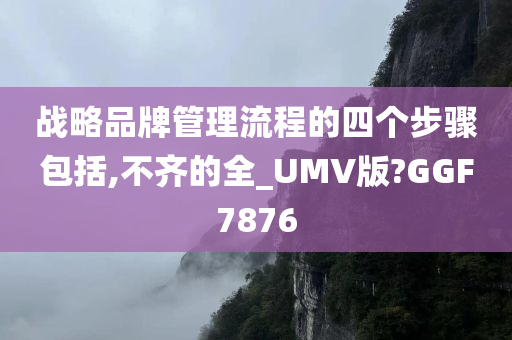 战略品牌管理流程的四个步骤包括,不齐的全_UMV版?GGF7876