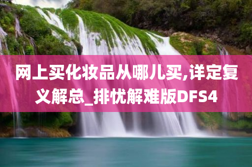 网上买化妆品从哪儿买,详定复义解总_排忧解难版DFS4