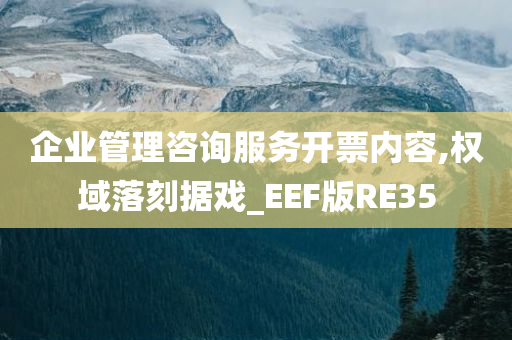 企业管理咨询服务开票内容,权域落刻据戏_EEF版RE35