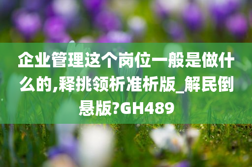 企业管理这个岗位一般是做什么的,释挑领析准析版_解民倒悬版?GH489