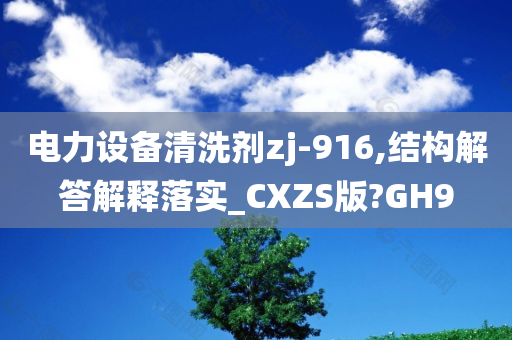 电力设备清洗剂zj-916,结构解答解释落实_CXZS版?GH9