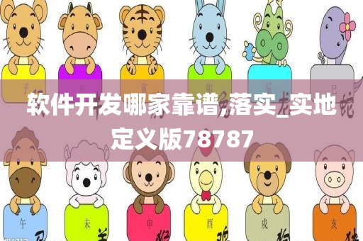 软件开发哪家靠谱,落实_实地定义版78787