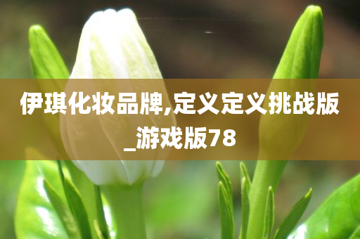 伊琪化妆品牌,定义定义挑战版_游戏版78