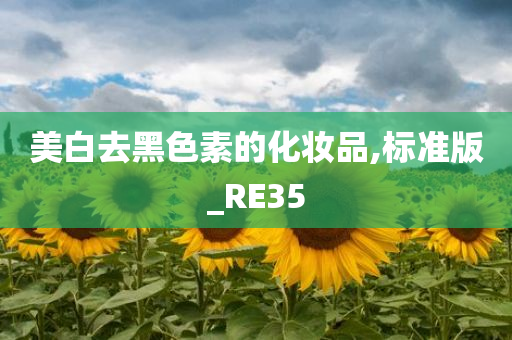 美白去黑色素的化妆品,标准版_RE35