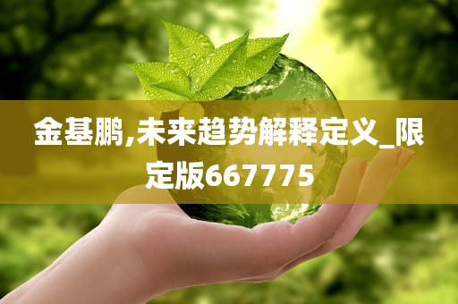 金基鹏,未来趋势解释定义_限定版667775