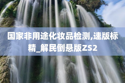 国家非用途化妆品检测,速版标精_解民倒悬版ZS2