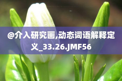 @介入研究画,动态词语解释定义_33.26.JMF56
