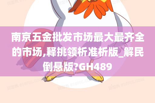 南京五金批发市场最大最齐全的市场,释挑领析准析版_解民倒悬版?GH489