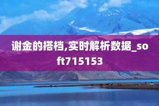谢金的搭档,实时解析数据_soft715153