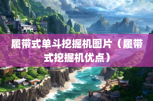 履带式单斗挖掘机图片（履带式挖掘机优点）