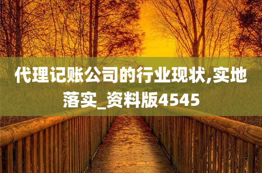 代理记账公司的行业现状,实地落实_资料版4545