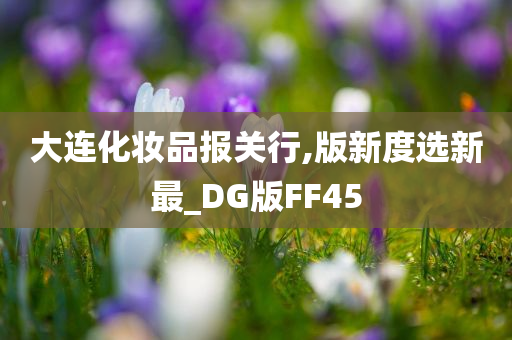 大连化妆品报关行,版新度选新最_DG版FF45