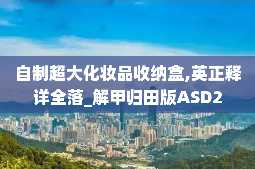 自制超大化妆品收纳盒,英正释详全落_解甲归田版ASD2