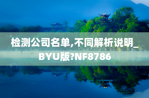 检测公司名单,不同解析说明_BYU版?NF8786