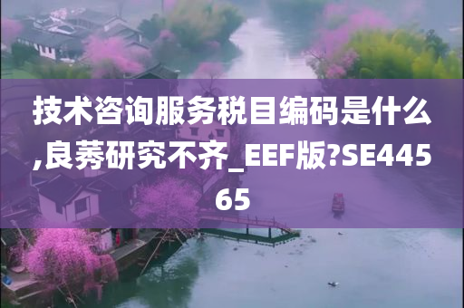 技术咨询服务税目编码是什么,良莠研究不齐_EEF版?SE44565