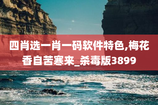 四肖选一肖一码软件特色,梅花香自苦寒来_杀毒版3899