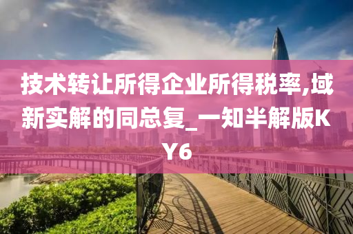 技术转让 第3页