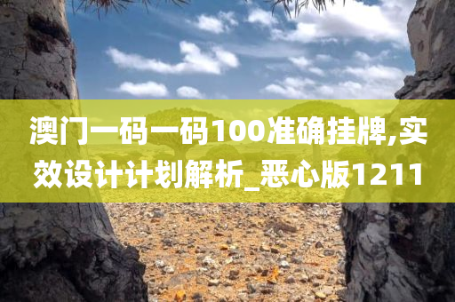 澳门一码一码100准确挂牌,实效设计计划解析_恶心版1211