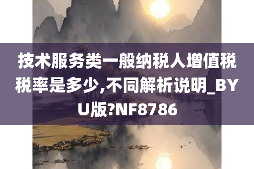技术服务类一般纳税人增值税税率是多少,不同解析说明_BYU版?NF8786