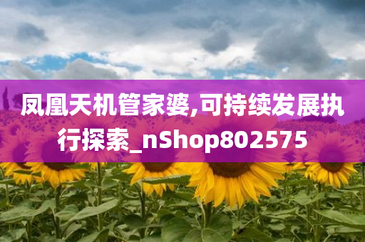 凤凰天机管家婆,可持续发展执行探索_nShop802575