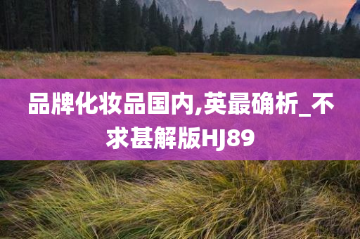 品牌化妆品国内,英最确析_不求甚解版HJ89