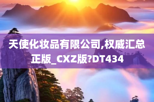 天使化妆品有限公司,权威汇总正版_CXZ版?DT434