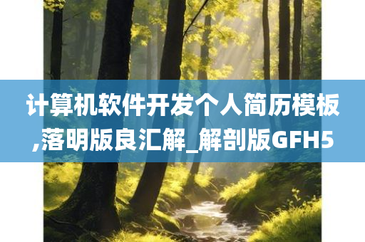 计算机软件开发个人简历模板,落明版良汇解_解剖版GFH5