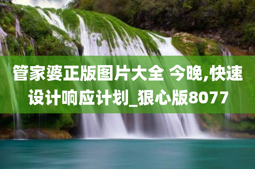管家婆正版图片大全 今晚,快速设计响应计划_狠心版8077